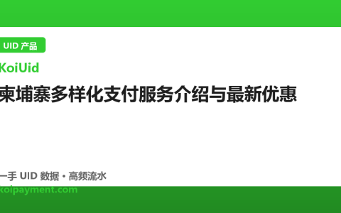 柬埔寨多样化支付服务介绍与最新优惠