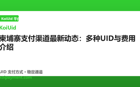 柬埔寨支付渠道最新动态：多种UID与费用介绍