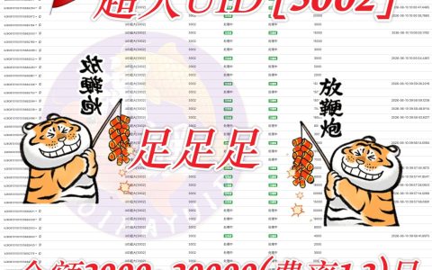 柬埔寨支付市场新动态：超大UID交易额曝光