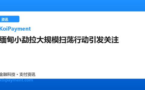 缅甸小勐拉大规模扫荡行动引发关注