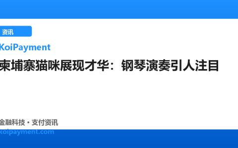 柬埔寨猫咪展现才华：钢琴演奏引人注目