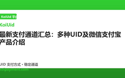 最新支付通道汇总：多种UID及微信支付宝产品介绍