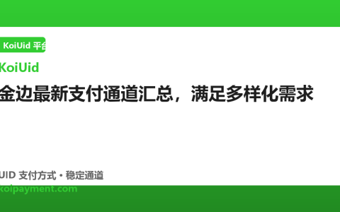 金边最新支付通道汇总，满足多样化需求