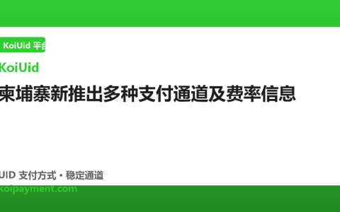 柬埔寨新推出多种支付通道及费率信息