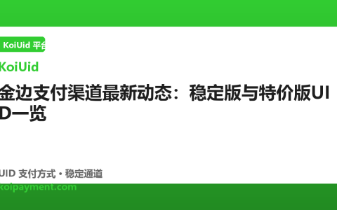 金边支付渠道最新动态：稳定版与特价版UID一览