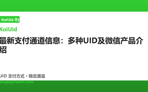 最新支付通道信息：多种UID及微信产品介绍