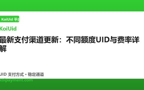 最新支付渠道更新：不同额度UID与费率详解