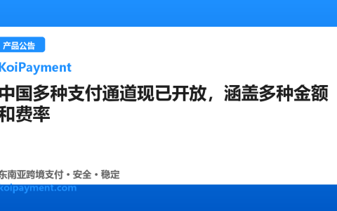中国多种支付通道现已开放，涵盖多种金额和费率