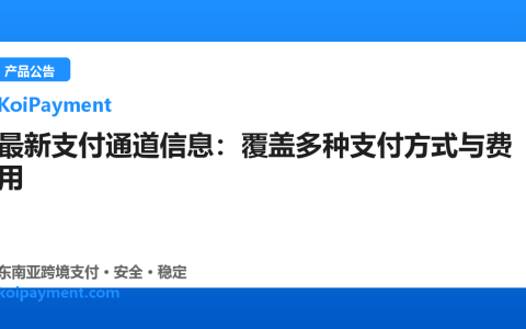 最新支付通道信息：覆盖多种支付方式与费用