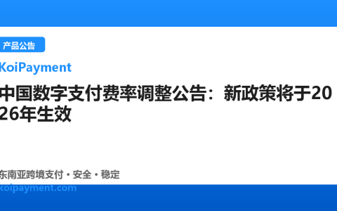 中国数字支付费率调整公告：新政策将于2026年生效