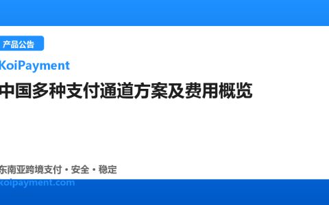 中国多种支付通道方案及费用概览