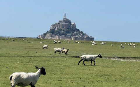 重温法国圣米歇尔山的魅力与朝圣之路