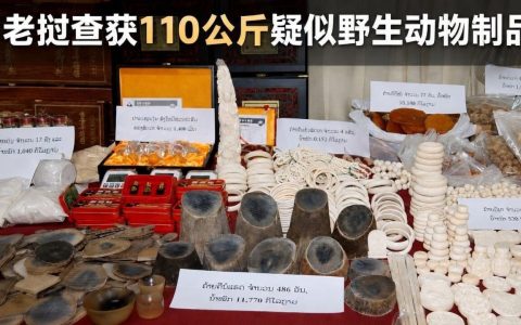 老挝查获110公斤野生动物制品 逮捕一名中国籍嫌疑人