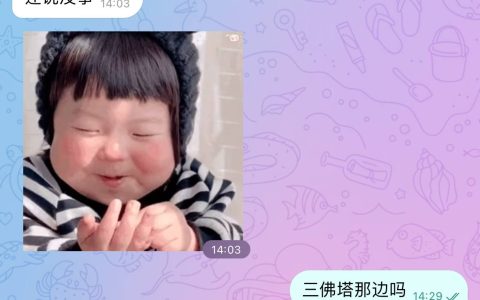 缅甸园区安全警报：赶紧撤离，商铺已关门