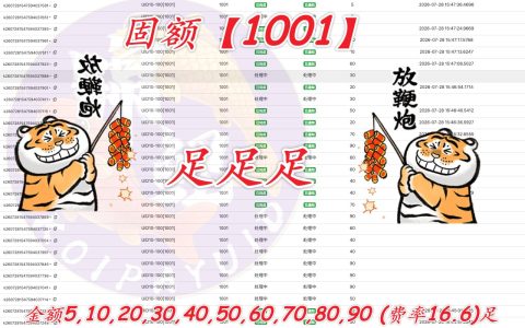 柬埔寨支付新选择：固额金额灵活多样
