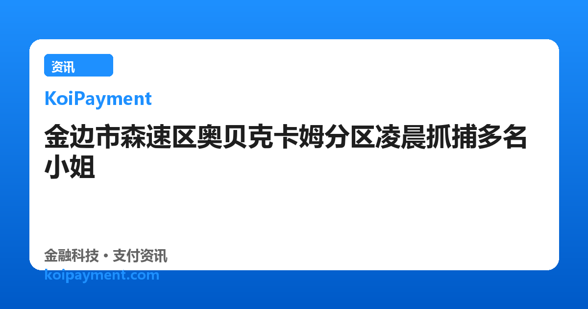 金边市森速区奥贝克卡姆分区凌晨抓捕多名小姐