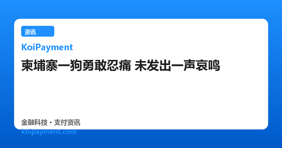 柬埔寨一狗勇敢忍痛 未发出一声哀鸣