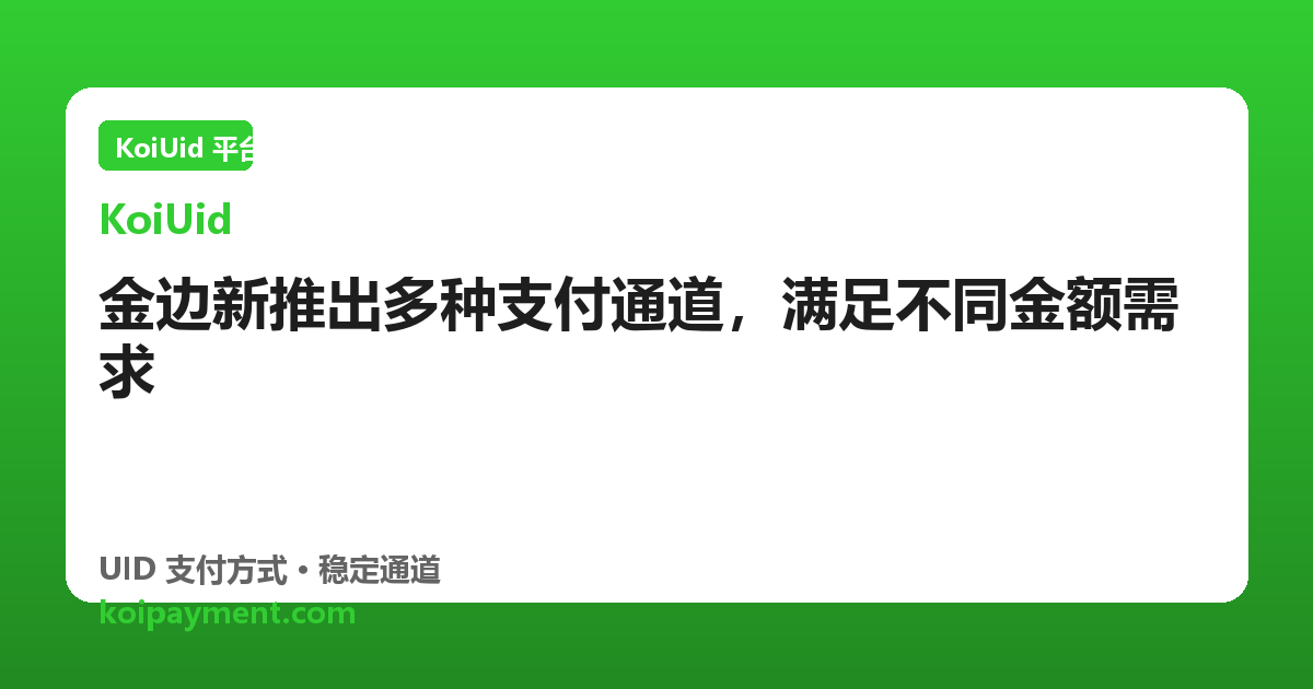 金边新推出多种支付通道，满足不同金额需求