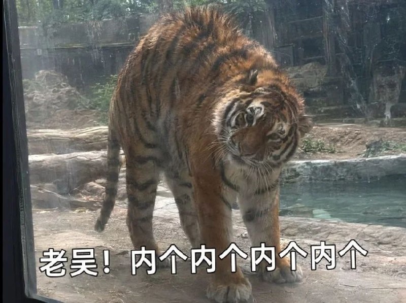 返乡创业现状：高失败率与隐患需警惕